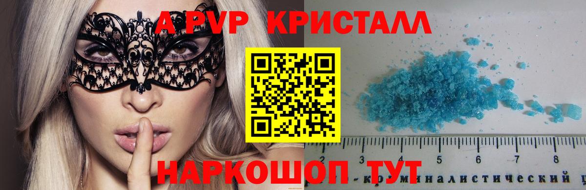 Альфа ПВП СК КРИС Туапсе