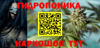 гашик Новозыбков