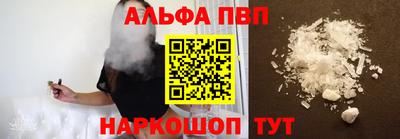 гашик Новозыбков