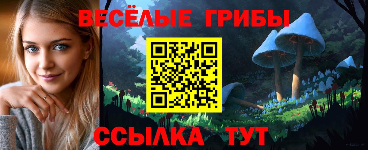 Галлюциногенные грибы Cubensis Туапсе